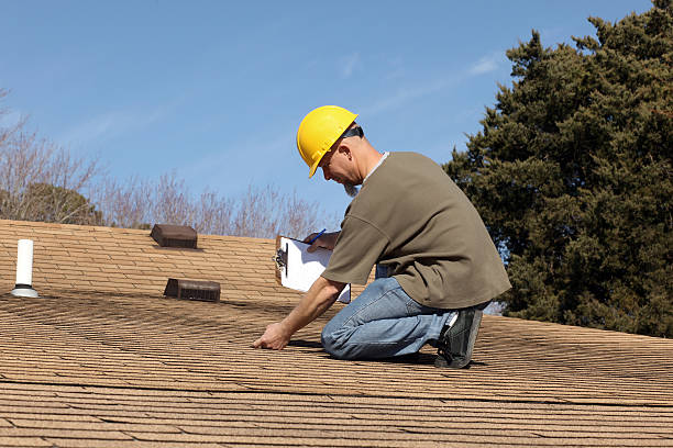 Best Roof Moss and Algae Removal  in Schertz, TX